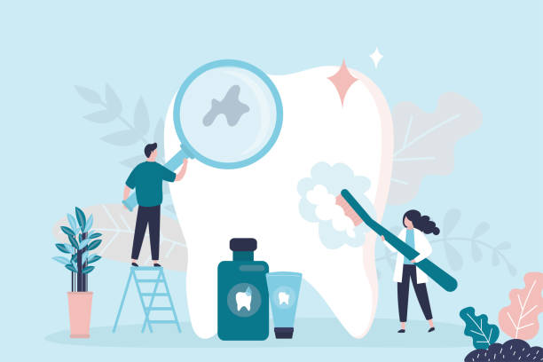 Trusted Kings Bay Base, GA  Holistic Dental Services Experts